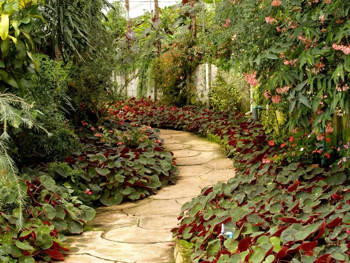 Landscape Construction — example 2