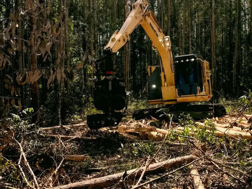 Land & Site Clearing