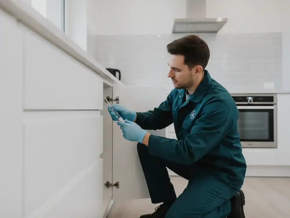 Cockroach Control