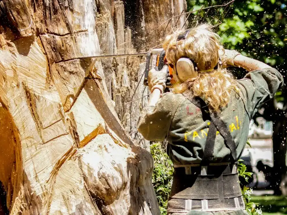 Tree Removal