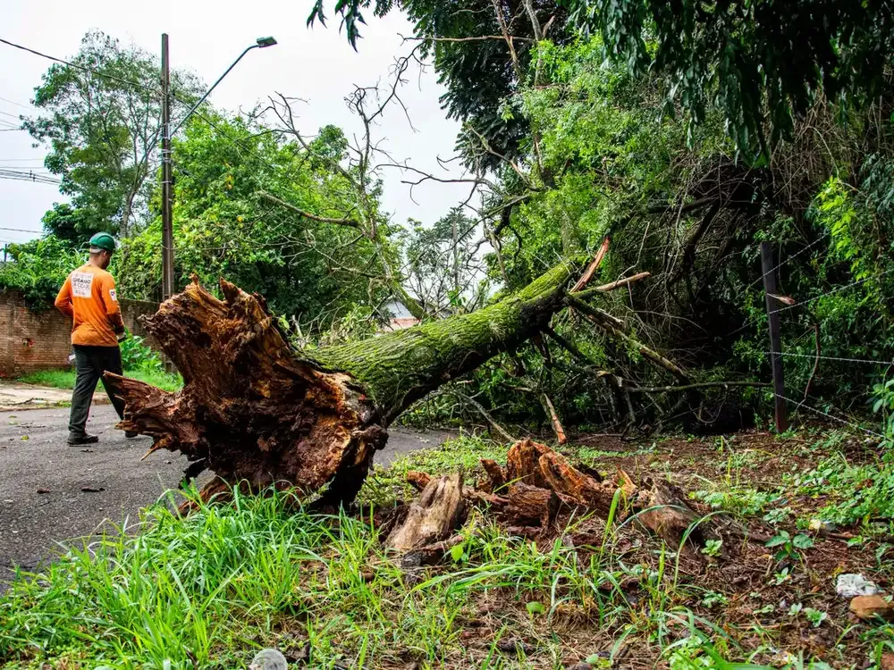 Emergency Storm Response
